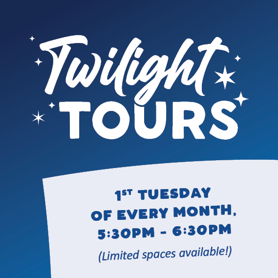 CG_KellyvilleRidge_TwilightTours_Web_PopUp_Mar2026